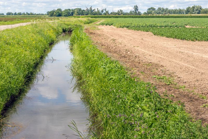 Drain Field Installation