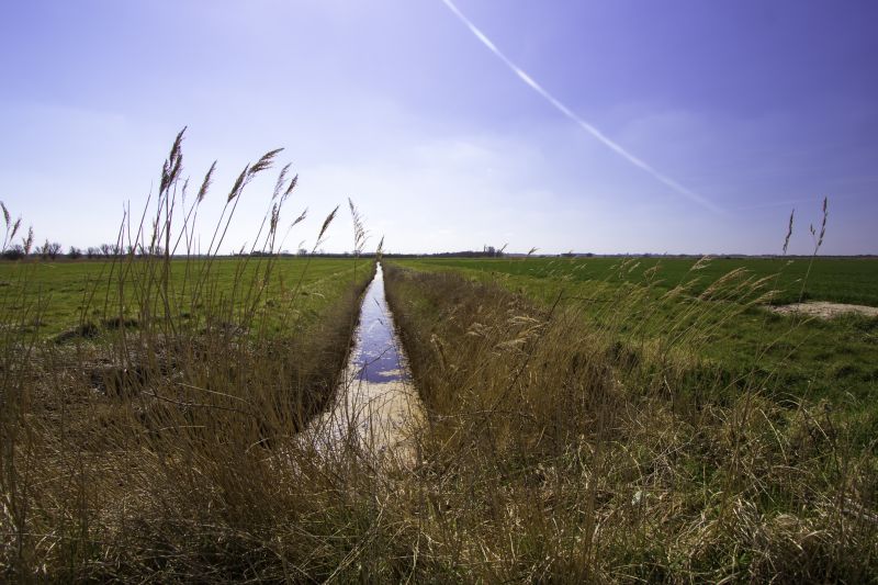 Drain Field Installation