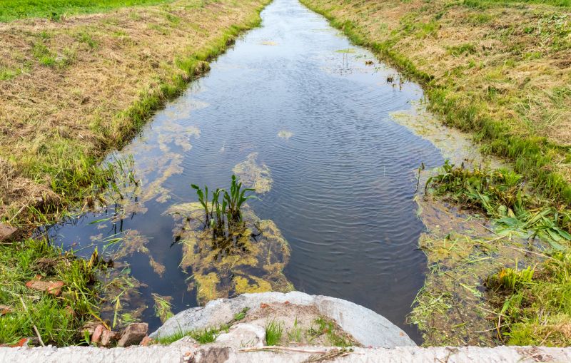 Drain Field Installation